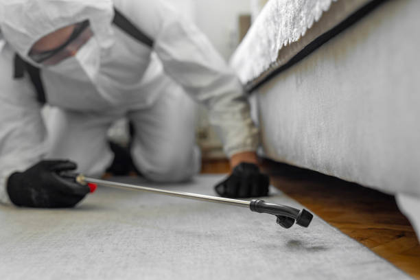 Professional Bed Bug Control technician working in Greensboro, NC