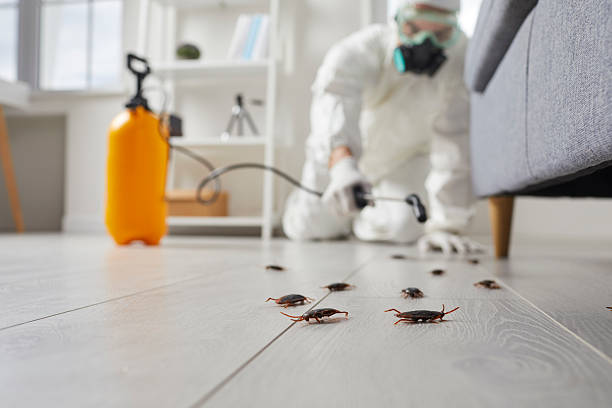Trusted Termite Control service in Greensboro, NC - Nex Pest Control
