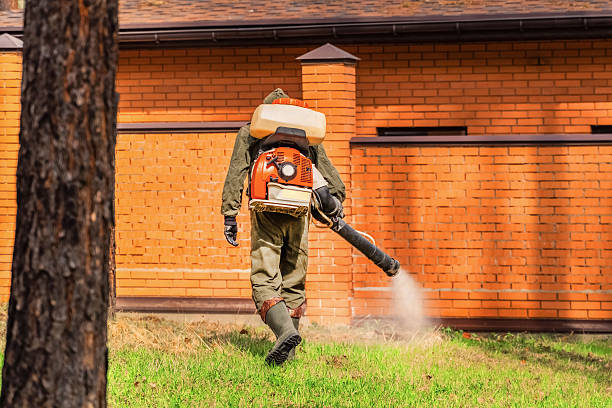 Trusted Bed Bug Control service in Greensboro, NC - Nex Pest Control